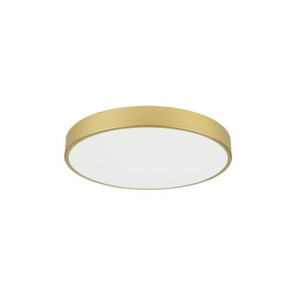 Brilagi - Lámpara de techo LED POOL LED/60W/230V 3000/4000/6000K Ø 60 cm dorada