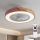 Brilagi - Lámpara de techo LED regulable con ventilador, 38 W, 230 V, 3000–6500 K, Ø 50 cm, rosa/roble + mando a distancia