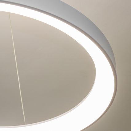 Brilagi - Lámpara colgante LED regulable con cable FALCON II LED/108W/230V 3000-6500K Ø 80 cm blanca + mando a distancia