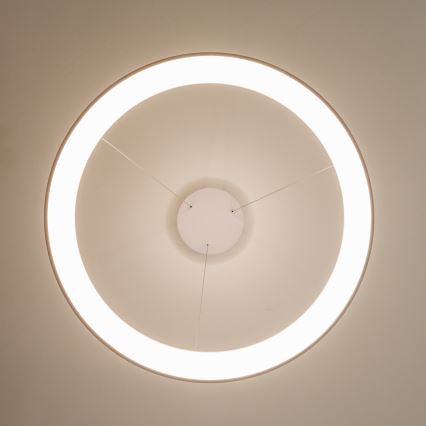 Brilagi - Lámpara colgante LED regulable con cable FALCON II LED/108W/230V 3000-6500K Ø 80 cm blanca + mando a distancia