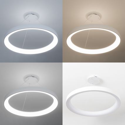 Brilagi - Lámpara colgante LED regulable con cable FALCON II LED/108W/230V 3000-6500K Ø 80 cm blanca + mando a distancia