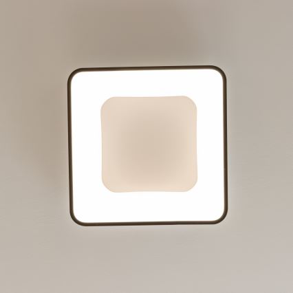 Brilagi - Luminaria de techo LED regulable FALCON II LED/80W/230V 3000-6500K 40x40 cm negra + mando a distancia