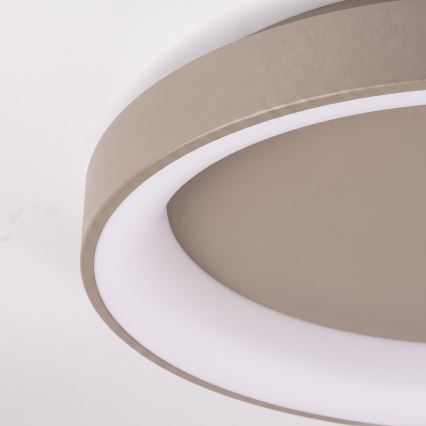 BRILAGI - Luminaria de techo LED regulable FALCON II LED/99W/230V 3000-6500K diámetro 60 cm beige + control remoto