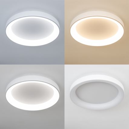 Brilagi - Plafón LED regulable FALCON II LED/99W/230V 3000-6500K, diámetro de 60 cm, blanco + mando a distancia