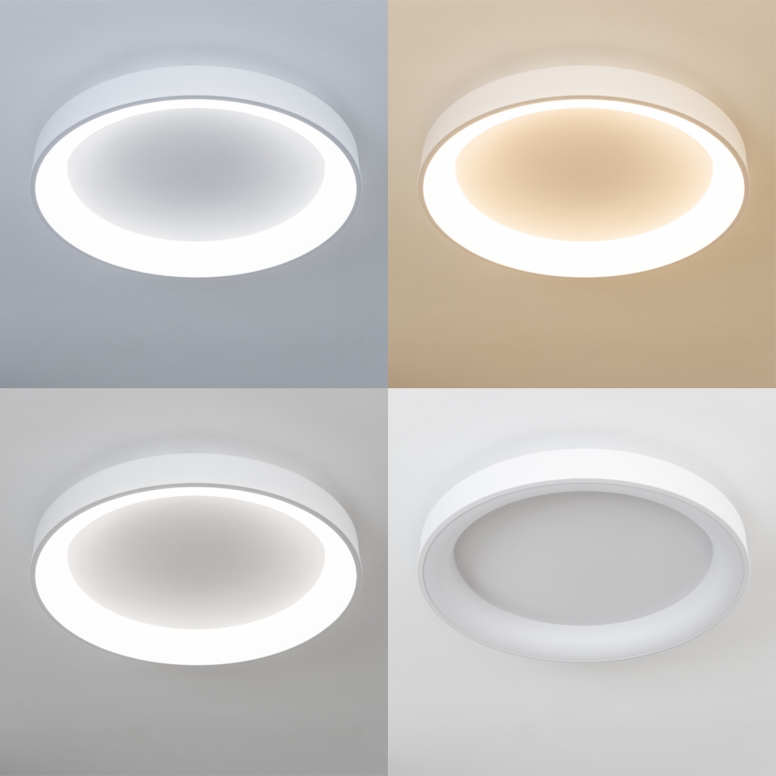 Brilagi - Plafón LED regulable FALCON II LED/99W/230V 3000-6500K, diámetro de 60 cm, blanco + mando a distancia