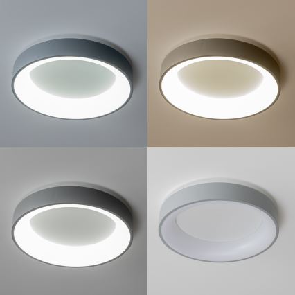 Brilagi - Lámpara de techo LED regulable FALCON LED/80W/230V 3000-6500K diámetro 60 cm gris + mando a distancia