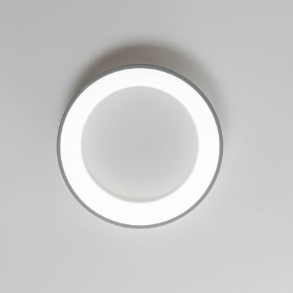 Brilagi - Lámpara de techo LED regulable FALCON LED/80W/230V 3000-6500K diámetro 60 cm gris + mando a distancia