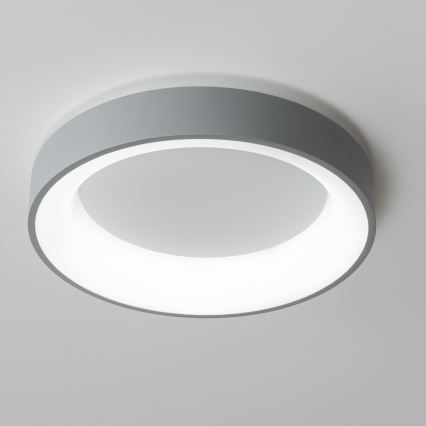 Brilagi - Lámpara de techo LED regulable FALCON LED/80W/230V 3000-6500K diámetro 60 cm gris + mando a distancia