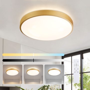 Brilagi - Lámpara de techo LED regulable GLASS POOL DOUBLE LED/48W/230V 3000-6000K 40 cm dorada + mando a distancia