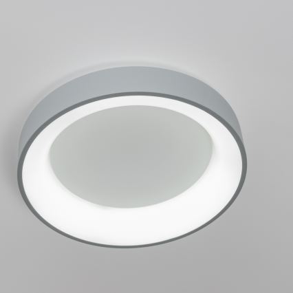 Brilagi - Luminaria de techo LED regulable FALCON LED/40W/230V 3000-6500K diámetro 45 cm gris + mando a distancia