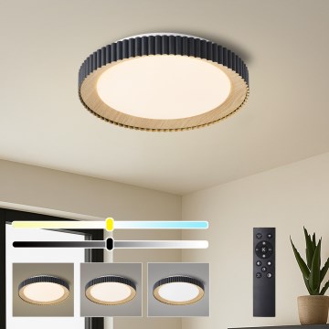 Brilagi - Lámpara de techo LED regulable NEXO LED/48W/230V 3000-6000K negra Ø 43 cm + mando a distancia