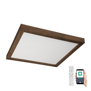 Brilagi - Lámpara de techo LED regulable para baño WOODY FRAME LED/50W/230V roble nogal 60x60 cm 3000-6000K IP44 + mando a distancia