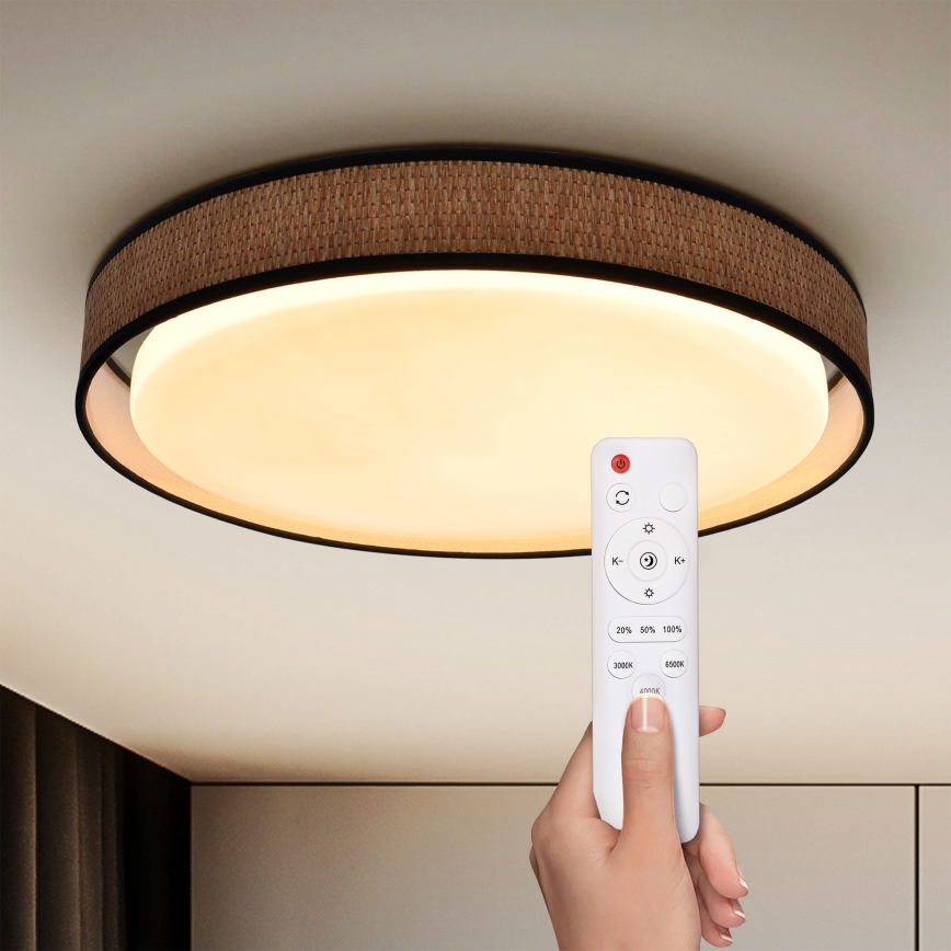 Brilagi - Lámpara de techo LED regulable PILAR LED/48W/230V 3000-6500K Ø 43 cm + mando a distancia