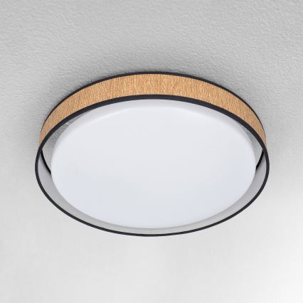 Brilagi - Lámpara de techo LED regulable PILAR LED/48W/230V 3000-6500K Ø 43 cm + mando a distancia