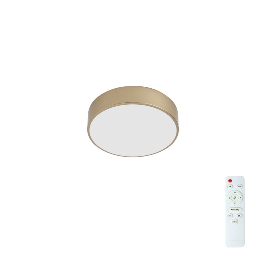 BRILAGI - Luminaria de techo LED regulable POOL LED/24W/230V 3000-6000K Ø 20 cm dorada + mando a distancia
