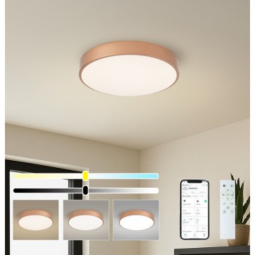 BRILAGI - Lámpara de techo LED regulable POOL SMART LED/48W/230V 3000-6000K diámetro 40 cm Wi-Fi Tuya bronce + mando a distancia