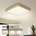 BRILAGI - Lámpara de techo LED regulable POOL SQUARE LED/36W/230V 3000-6000K 40x40 cm dorada + control remoto