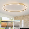 Brilagi - Lámpara de techo LED regulable PORTOFINO LED/85W/230V 3000-6000K Ø 120 cm en dorado + mando a distancia