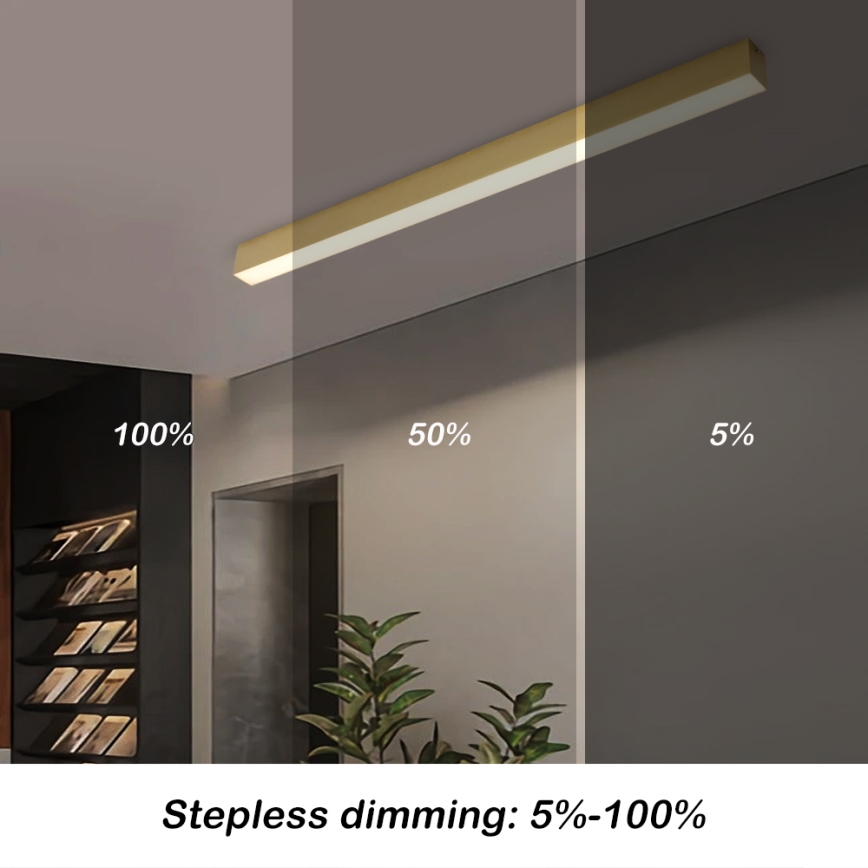 Brilagi - Lámpara LED de techo regulable SLEEKLINE SMART LED/40W/230V 3000-6000K Wi-Fi Tuya dorada + mando a distancia