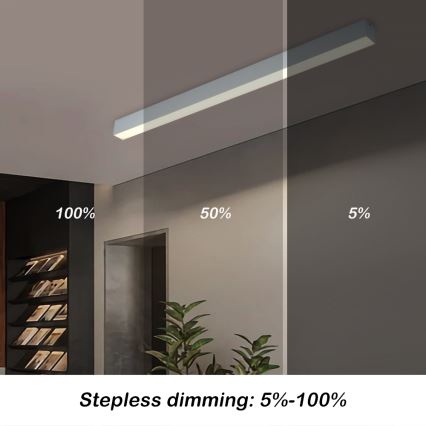 Brilagi - Lámpara de techo LED regulable SLEEKLINE SMART LED/40W/230V 3000-6000K Wi-Fi Tuya plateada + control remoto
