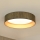 Brilagi - Lámpara de techo LED regulable VEGAS SHINE LED/24W/230V Ø 45 cm 3000/4000/6500K paja marrón/dorado + mando a distancia