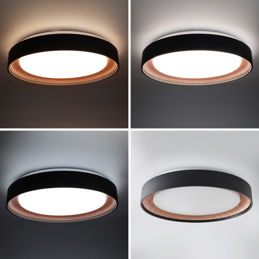 Brilagi - Luminaria de techo LED regulable WALDO LED/48W/230V 3000–6500 K Ø 40 cm negro/dorado + mando a distancia