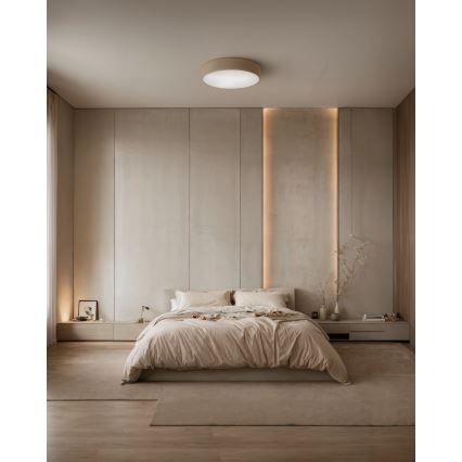 Brilagi - Lámpara de techo LED RGBW regulable CLARE 4xE27/9W/230V 2700–6500 K diámetro 50 cm Wi-Fi beige