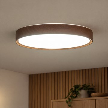 BRILAGI - Lámpara de techo NATURA LED/24W/230V 4000K Ø 38,3 cm