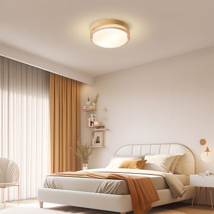 Brilagi - Lámpara de techo ORINO 2xE27/40W/230V, diámetro 27 cm, acabado madera/roble