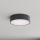 Brilagi - Lámpara de techo para baño CLARE 2xE27/24W/230V Ø 30 cm antracita IP54