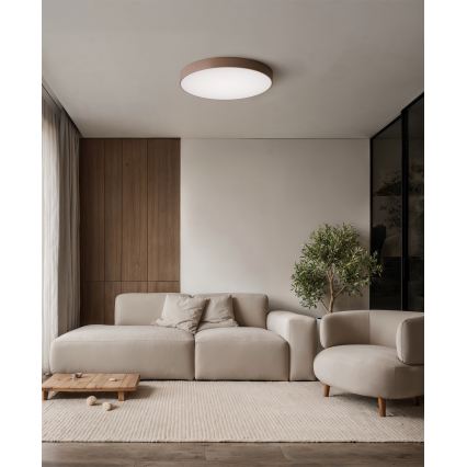 Brilagi - Lámpara de techo para baño CLARE 4xE27/24W/230V Ø 50 cm IP54 marrón