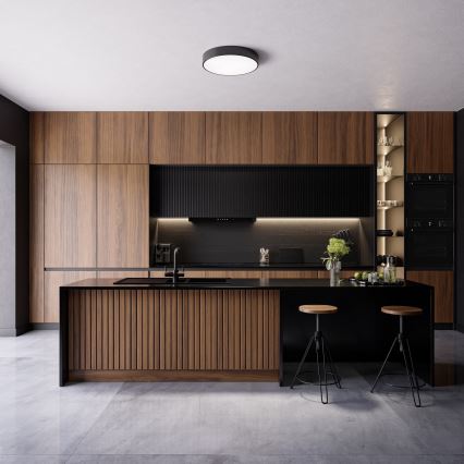 Brilagi - Lámpara de techo para baño CLARE 4xE27/24W/230V Ø 50 cm IP54 negra