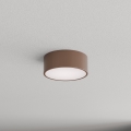 Brilagi - Lámpara de techo para baño con sensor de movimiento y de crepúsculo CLARE 1xE27/24W/230V Ø 20 cm marrón IP54