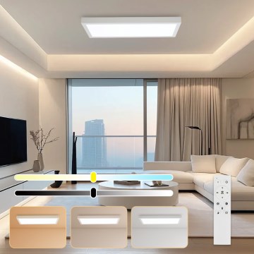 Brilagi - Lámpara de techo para baño LED regulable FRAME SMART LED/30W/230V 30x60 cm 3000-6000K IP44 blanca + mando a distancia