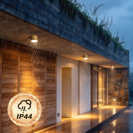 BRILAGI - Lámpara de techo para exterior FORIS LED/9W/230V, diámetro 9 cm, dorado IP44