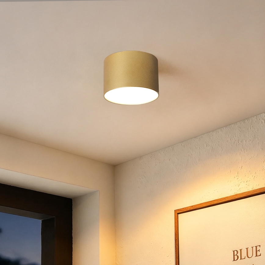 BRILAGI - Lámpara de techo para exterior FORIS LED/9W/230V, diámetro 9 cm, dorado IP44
