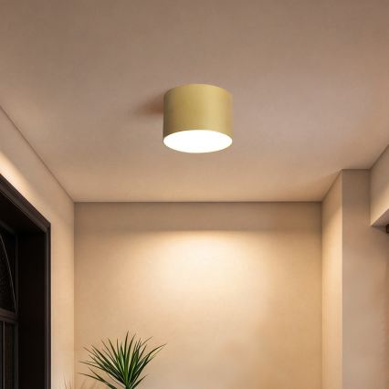 BRILAGI - Lámpara de techo para exterior FORIS LED/9W/230V, diámetro 9 cm, dorado IP44