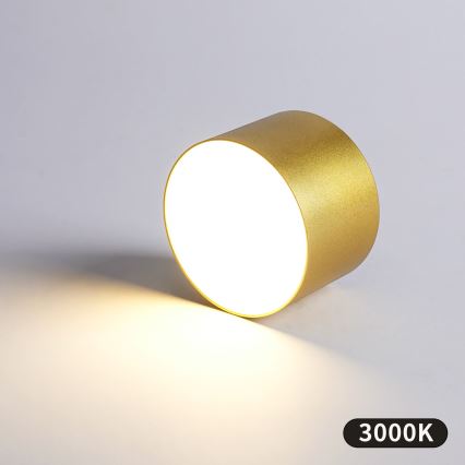 BRILAGI - Lámpara de techo para exterior FORIS LED/9W/230V, diámetro 9 cm, dorado IP44