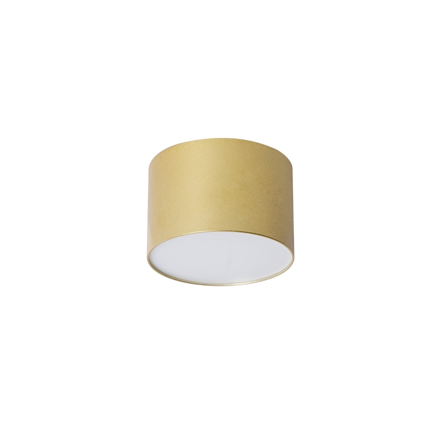 BRILAGI - Lámpara de techo para exterior FORIS LED/9W/230V, diámetro 9 cm, dorado IP44