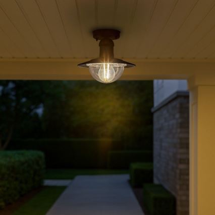 Brilagi - Lámpara de techo para exterior MOLDE 1xE27/60W IP44 negra