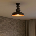 Brilagi - Lámpara de techo PYRONIC 1xE27/40W/230V, diámetro 32 cm, bronce/pátina
