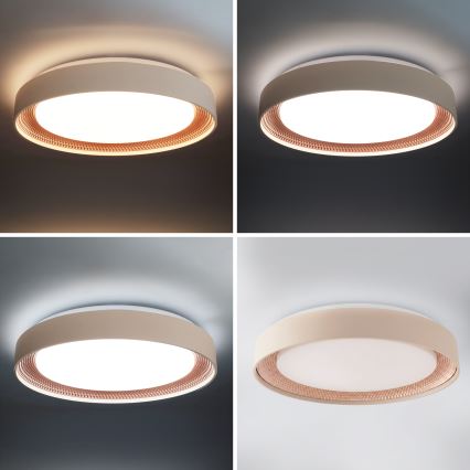 Brilagi - Luminaria de techo LED regulable WALDO LED/48W/230V 3000-6500K Ø 40 cm beige/dorado + mando a distancia