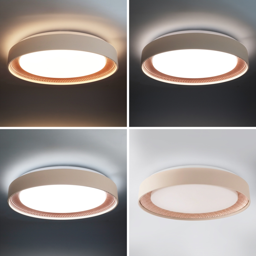 Brilagi - Luminaria de techo LED regulable WALDO LED/48W/230V 3000-6500K Ø 40 cm beige/dorado + mando a distancia