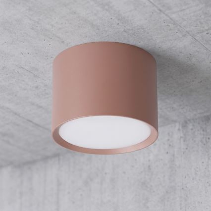 BRILAGI - Lámpara empotrable SMOOTH 1xGX53/15W/230V 60x82 mm marrón