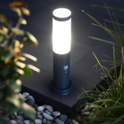Brilagi - Lámpara exterior con sensor NOVA 1xE27/15W/230V 40 cm IP44 antracita