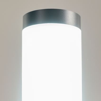 BRILAGI - Lámpara exterior ELIA 1xE27/20W/230V IP44 50 cm antracita