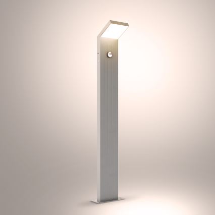 Brilagi - Lámpara exterior LED con sensor RIANO LED/8W/230V plateada IP65 80 cm