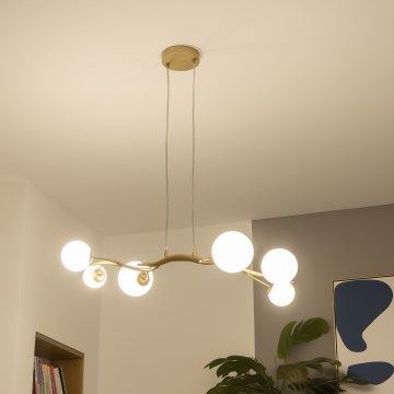 Brilagi - Lámpara LED colgante MISTEL 6xG9/3W/230V dorado/blanco
