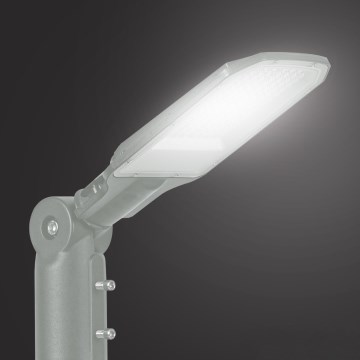 Brilagi - Lámpara LED de exterior para calles URBANLIGHT LED/50W/230V gris IP65