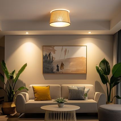 Brilagi - Lámpara LED de techo de superficie CERIA 1xE27/40W/230V, diámetro 35 cm, beige